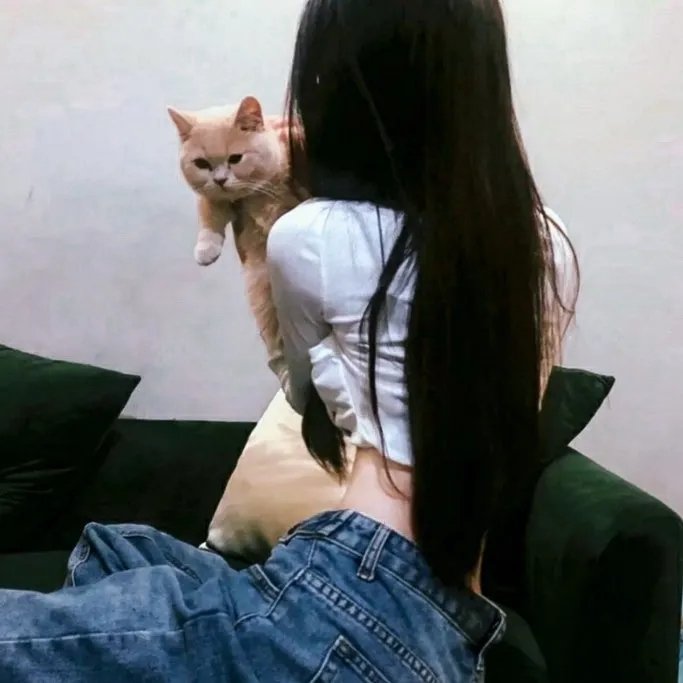 出墙花